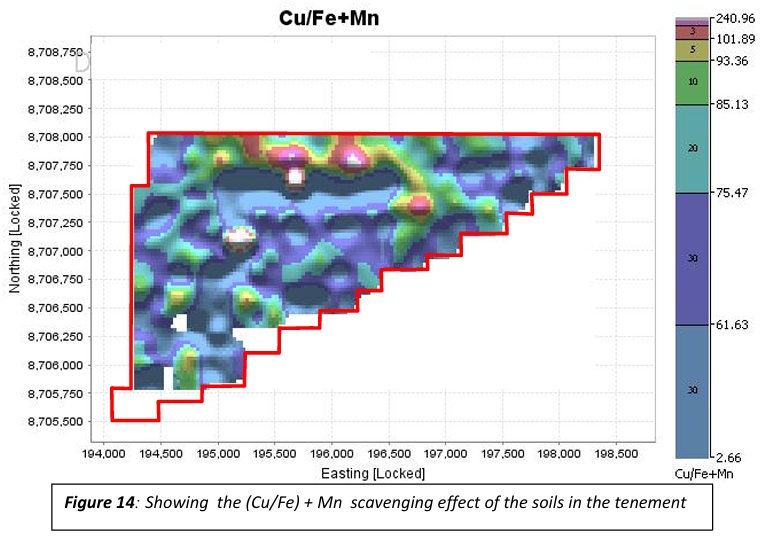 Survey image 4